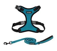 Voyager Step-in Lock Dog Harness w Reflective Dog Leash Combo Set with Neoprene Handle 5ft - Supports Small, Medium and Large Breed Puppies/Cats by Best Pet Supplies - Turquoise/Black Trim, S