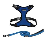 Voyager Step-in Lock Dog Harness w Reflective Dog Leash Combo Set with Neoprene Handle 5ft - Supports Small, Medium and Large Breed Puppies/Cats by Best Pet Supplies - Royal Blue/Black Trim, S