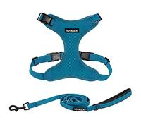 Voyager Step-in Lock Dog Harness w Reflective Dog Leash Combo Set with Neoprene Handle 5ft - Supports Small, Medium and Large Breed Puppies/Cats by Best Pet Supplies - Turquoise, XS