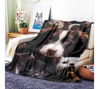 VOZMIO Game Flannel Warm Soft Plush on The Sofa Bed Blanket Suitable for Air Conditioning Blanket Nap Blanket (40 * 60 in(100 * 150 CM))
