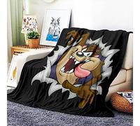 VOZMIO TAZ Flannel Warm Soft Plush on The Sofa Bed Blanket Suitable for Air Conditioning Blanket Nap Blanket (B,60 * 80 in(150 * 200 CM))