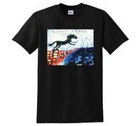 VPJGFL Dirty Three T Shirt Horse Stories Vinyl cd Cover Black(Large)