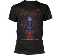 VPJGFL Dismember Men's Like an Ever Flowing Stream T-Shirt Black(Small)