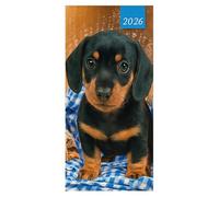 VR ANGLE 2026 Slim Line - Dachshund Puppy Desk Diary | Two Week-to-View Layout Softback Diaries - 60gsm Paper | Animal Print Stylish Diary for Home, Office, School or Travel Use