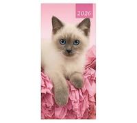 VR ANGLE 2026 Slim Line - Pink Kitten Desk Diary | Two Week-to-View Layout Softback Diaries - 60gsm Paper | Animal Print Stylish Diary for Home, Office, School or Travel Use