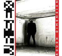 VR SEX - ROUGH DIMENSION [VINYL]