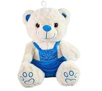 VRasehorn Guardian Angel Bear Approx. 20 cm Plush Sitting with Wings - Guardian Angel Bear - Lucky Bear Teddy Teddy Bear Angel - Blue