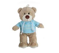 VRasehorn Plush Bear with Hoodie ''Get Well Soon'' Approximately 32 cm Blue Soft Toy Cuddly Toy Teddy Bear