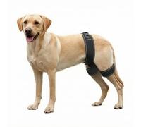 vreplrse Dog Hip Brace For Hip Dysplasia Support And Pain Relief,M | Delivers Relief Discomfort While Supporting Joint Health For Playful Pets Keeping Happy And Active