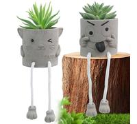 Vrexziy 2Pcs Fake Plants with Cement Potted, Mini Fake Succulents Plants, Artificial Plant Potted with Hanging Leg Artificial Succulents Potted Plant Decor for Home Office Bedroom