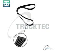 VRIBBED BELT 02.19.313 FOR M 271.944 1.8L M271.942/940/941/946/948/921 1.8L 4cyl