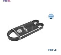 MEYLE 050 006 1019/E Serpentine belt
