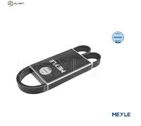 MEYLE 050 006 1019/E V-RIBBED BELT