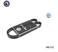 MEYLE 050 006 1019/E Serpentine belt