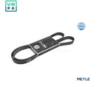 MEYLE 050 006 1555 V-Ribbed Belt Fits BMW Chevrolet Ford Opel Renault Saab Volvo