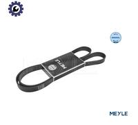 MEYLE 050 006 1698 V-Ribbed Belt Fits Audi BMW Chevrolet Citroen Peugeot Seat VW