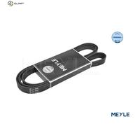 MEYLE 050 006 1930 V-Ribbed Belt 6 Ribs 1930mm Length Fits Audi Ford Porsche