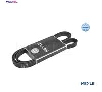 MEYLE 050 006 2170 Serpentine belt