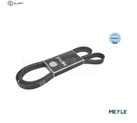 MEYLE 050 007 2418 Serpentine belt