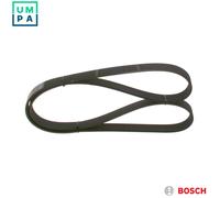 VRIBBED BELT 1 987 946 080 FOR ALFA ROMEO FIAT MAREA/Weekend STRADA/Pickup 2.0L