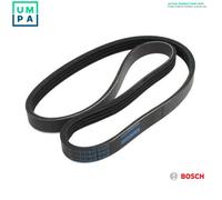 Fits BOSCH 1 987 946 209 V-ribbed Belt 1 987 946 209 Multi-V-belt (6PK1188)