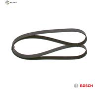 BOSCH 1 987 946 294 V-ribbed belt