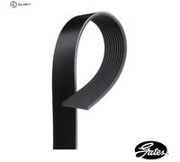 10 Rib Multi V Drive Belt 10PK1340HD Gates 20983634 21955032 7421190824 Quality