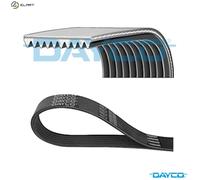VRIBBED BELT 10PK1448HD FOR RENAULT TRUCKS VOLVO DXi 5 4.8L 4cyl MIDLUM 7.2L FM