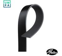 VRIBBED BELT 10PK1460HD FOR RENAULT TRUCKS MACKE.TECHA/46/TECHB/46 11.9L 6cyl
