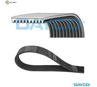 DAYCO 10PK2240HD Serpentine belt