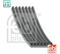 FEBI BILSTEIN 177663 Serpentine belt