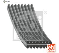 FEBI BILSTEIN 177989 Serpentine belt
