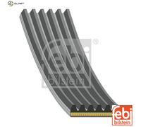FEBI BILSTEIN 181287 Serpentine belt