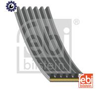FEBI BILSTEIN 184948 Serpentine belt