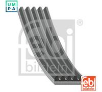 FEBI BILSTEIN 186373 Serpentine belt
