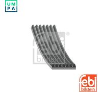 VRIBBED BELT 29030 FOR DACIA H5F402/408/404 1.2L 4cyl LODGY H4B400/408 0.9L BMW