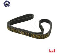 VRIBBED BELT 338 073 FOR SKODA OCTAVIA/Combi VW NEW/BEETLE/Convertible GOLF/IV
