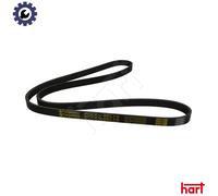 VRIBBED BELT 338 075 FOR SKODA VW GOLF/IV/Van BORA PASSAT/B5.5 FIAT AUDI