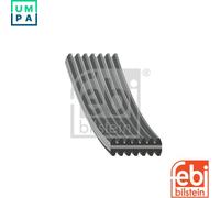 VRIBBED BELT 45025 FOR VW CMTA/BHK/CMVA/CHNA/CGRA 3.6L AZZ/BKJ/BAA/BMX 3.2L 4cyl