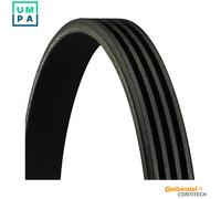 CONTITECH 4PK1775 Serpentine belt