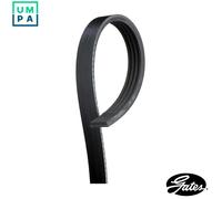 Gates Serpentine Belt 4PK750 – 4-Rib Multi-V
