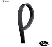 Gates 4PK885 V-Ribbed Belt