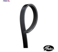 Gates 4PK917SF V-Ribbed Belt