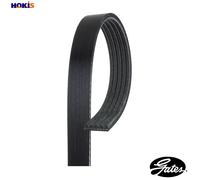 Multi-ribbed V-belt 5PK1123 GATES for CITROËN PEUGEOT MITSUBISHI TOYOTA BMW OPEL