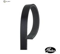GATES 5PK1123 Micro-V Xf Ribbed V-Belt