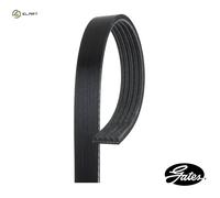 VRIBBED BELT 5PK1123 FOR MITSUBISHI SPACE/STAR/MPV CARISMA LIBERO/Station BMW
