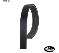 Multi-ribbed V-belt 5PK1123 GATES for CITROËN PEUGEOT MITSUBISHI TOYOTA BMW OPEL
