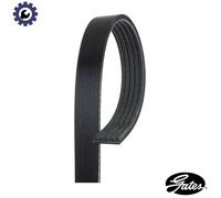 Multi-ribbed V-belt 5PK1123 GATES for CITROËN PEUGEOT MITSUBISHI TOYOTA BMW OPEL