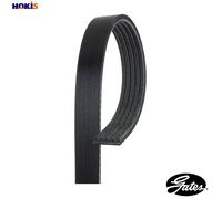 GATES 5PK1343 V-Ribbed Belt for DODGE,HYUNDAI,LANCIA,MITSUBISHI,VOLVO
