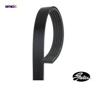 GATES 5PK1343 V-Ribbed Belt for DODGE,HYUNDAI,LANCIA,MITSUBISHI,VOLVO